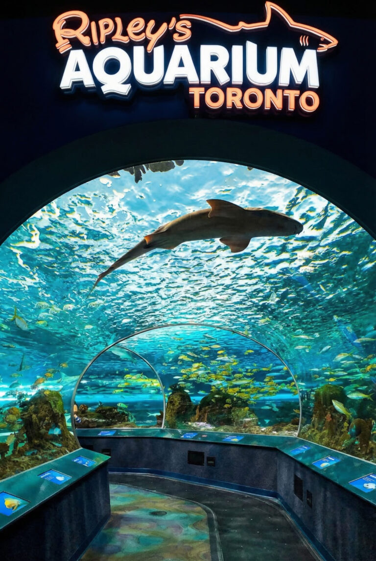 ripley's aquarium toronto