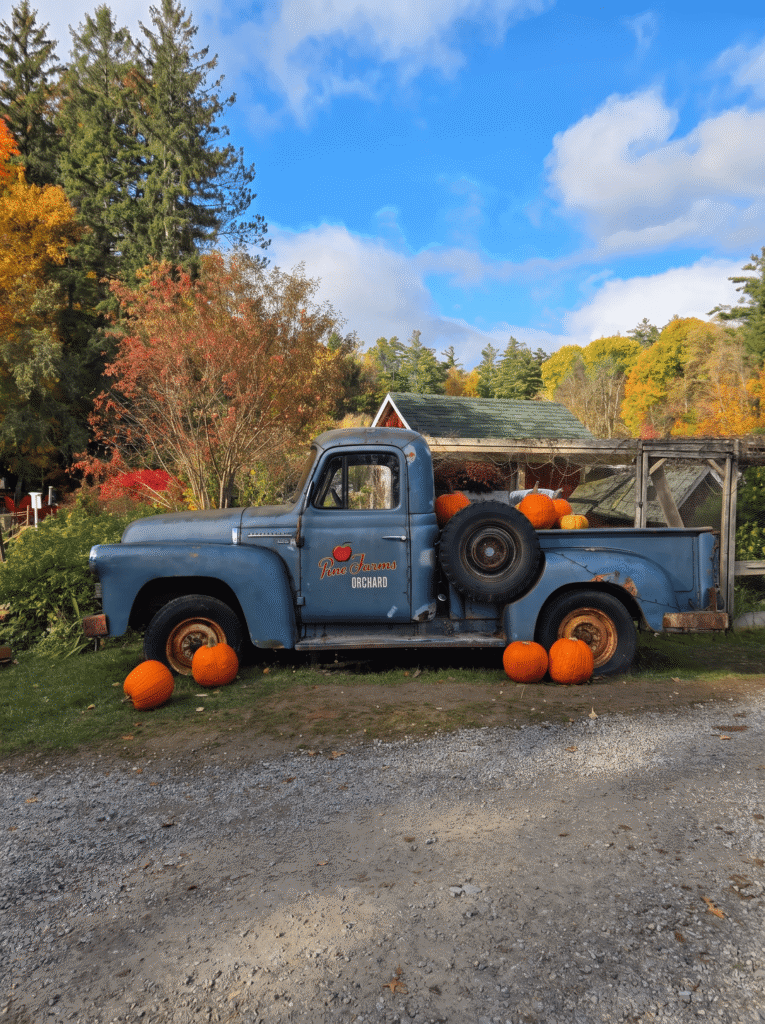 best-apple-picking-near-toronto