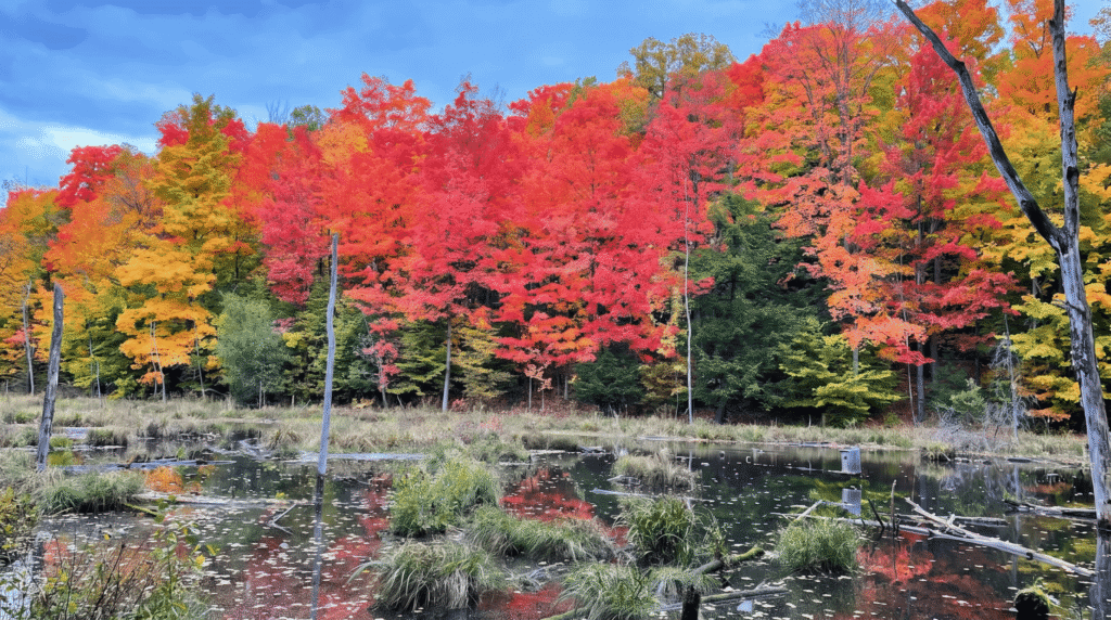 best-fall-day-trips-from-toronto