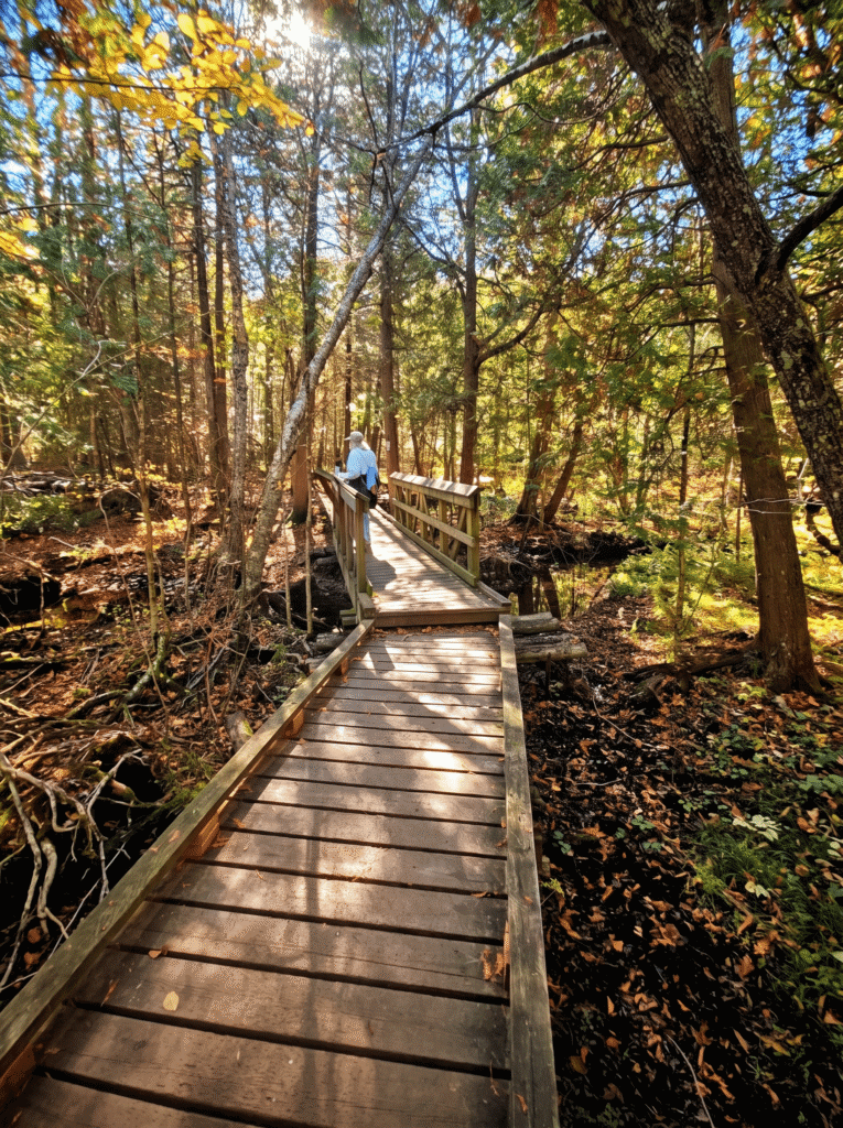 best-hikes-near-toronto