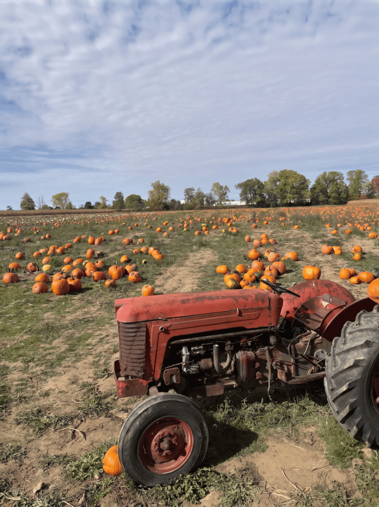 pumpkin-farms-near-toronto