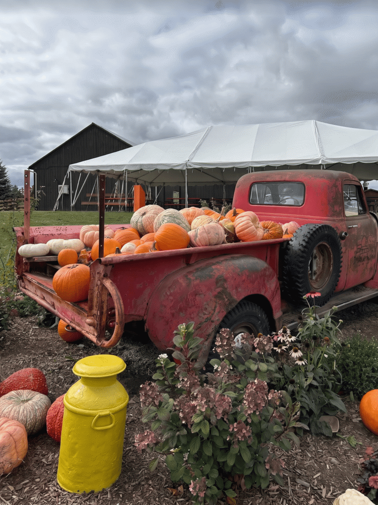 pumpkin-picking-near-toronto
