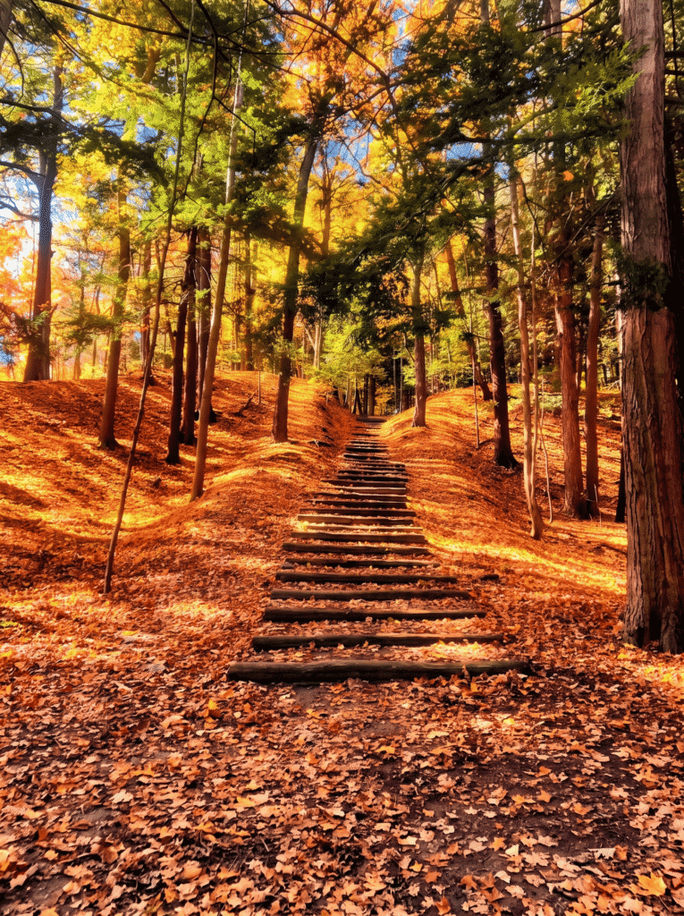 toronto-hiking-trails-nature